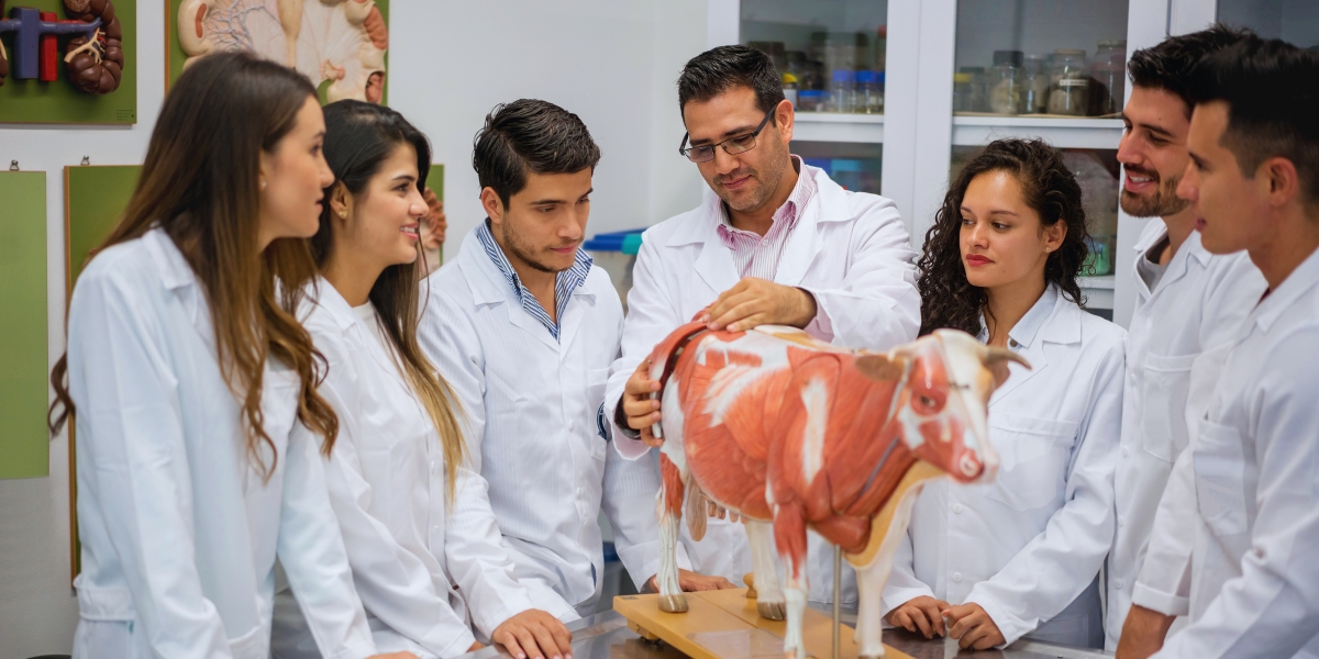 Medicina Veterinária