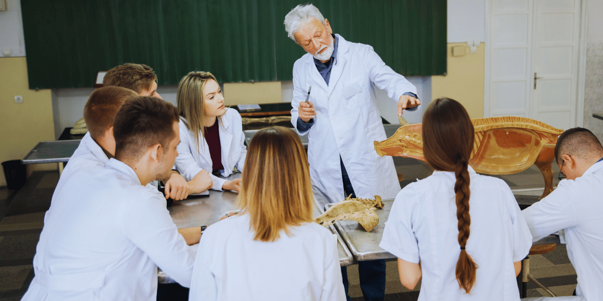 Corpo docente da Medicina undb