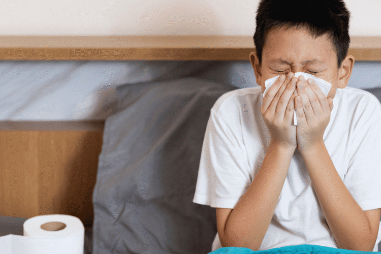 Gripe Influenza