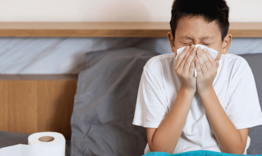 Gripe Influenza