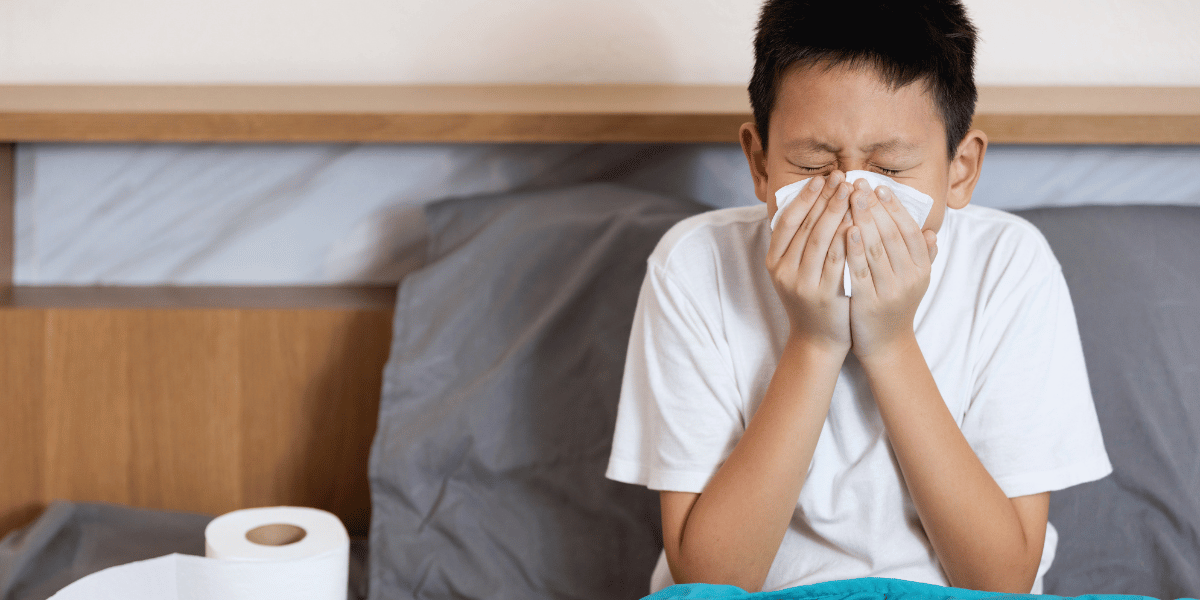 Gripe Influenza