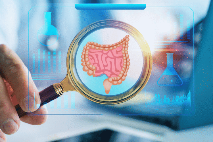 microbiota intestinal