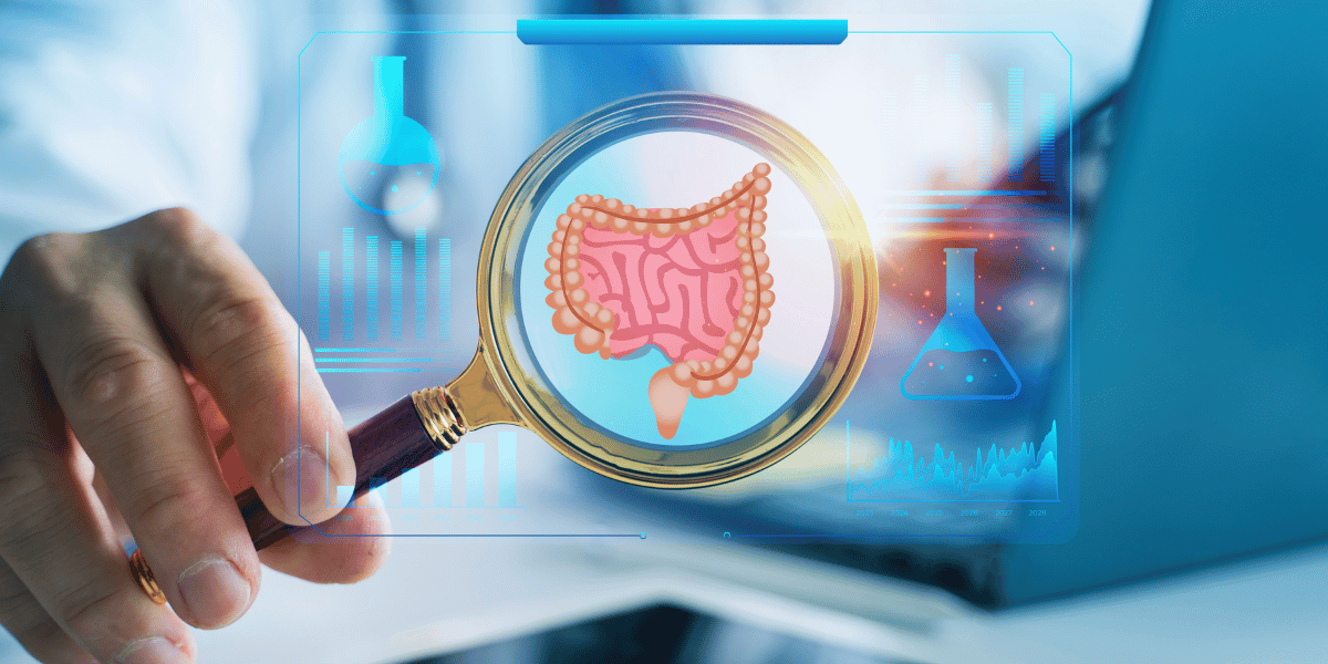 microbiota intestinal