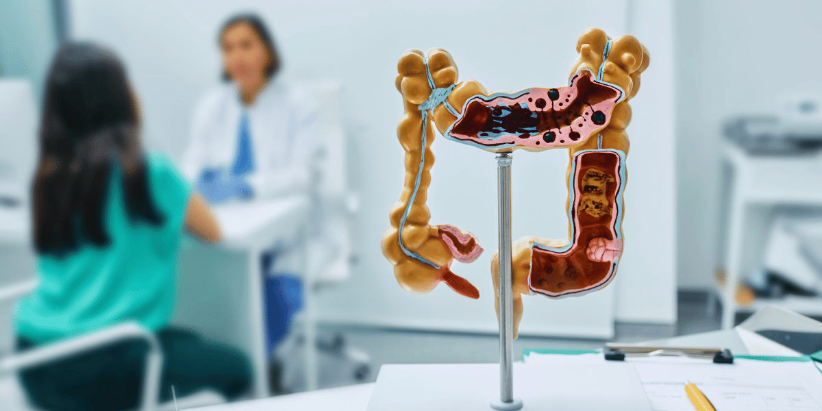 microbiota intestinal