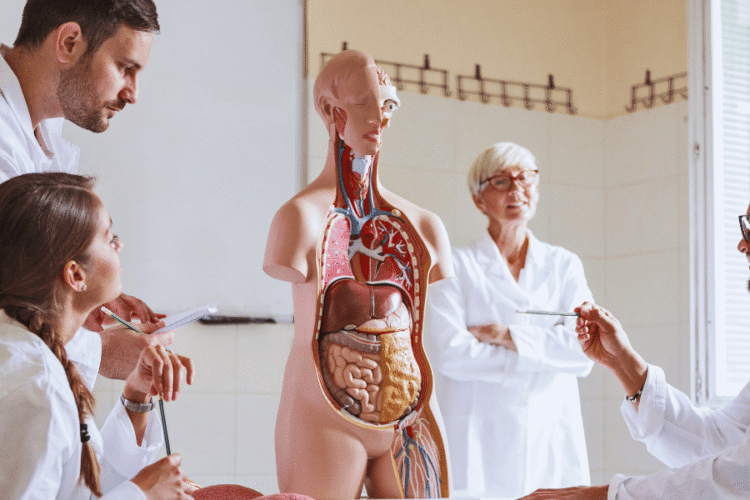 Extensão universitária em Medicina