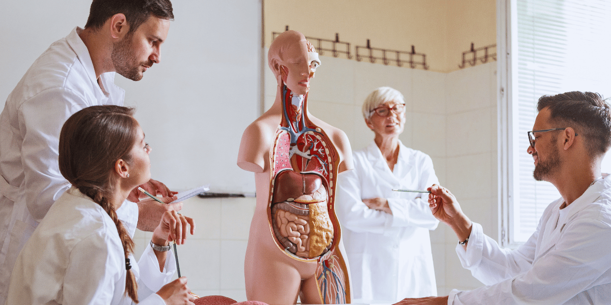 Extensão universitária em Medicina