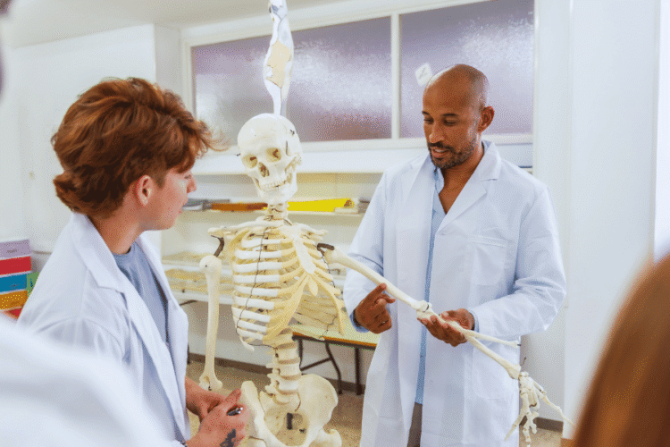 Anatomia na faculdade de Medicina