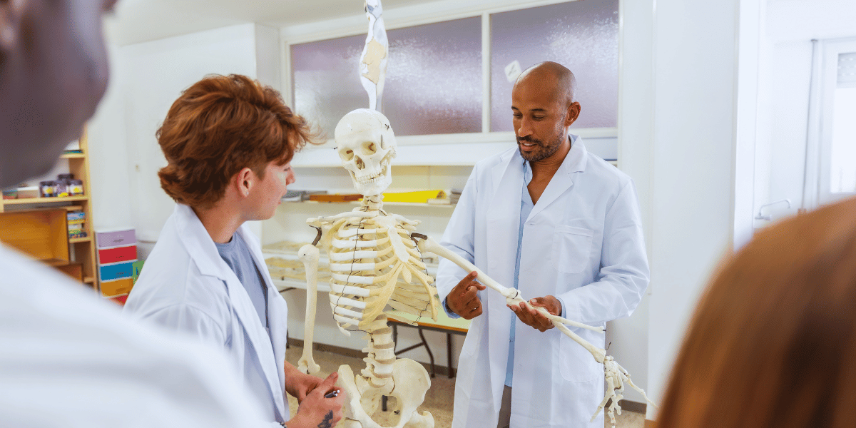Anatomia na faculdade de Medicina